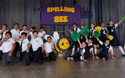 Spelling Bee Primaria